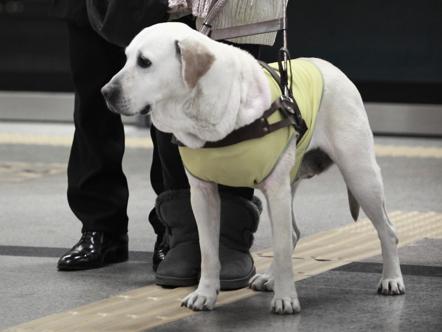 盲证剧照的剧照