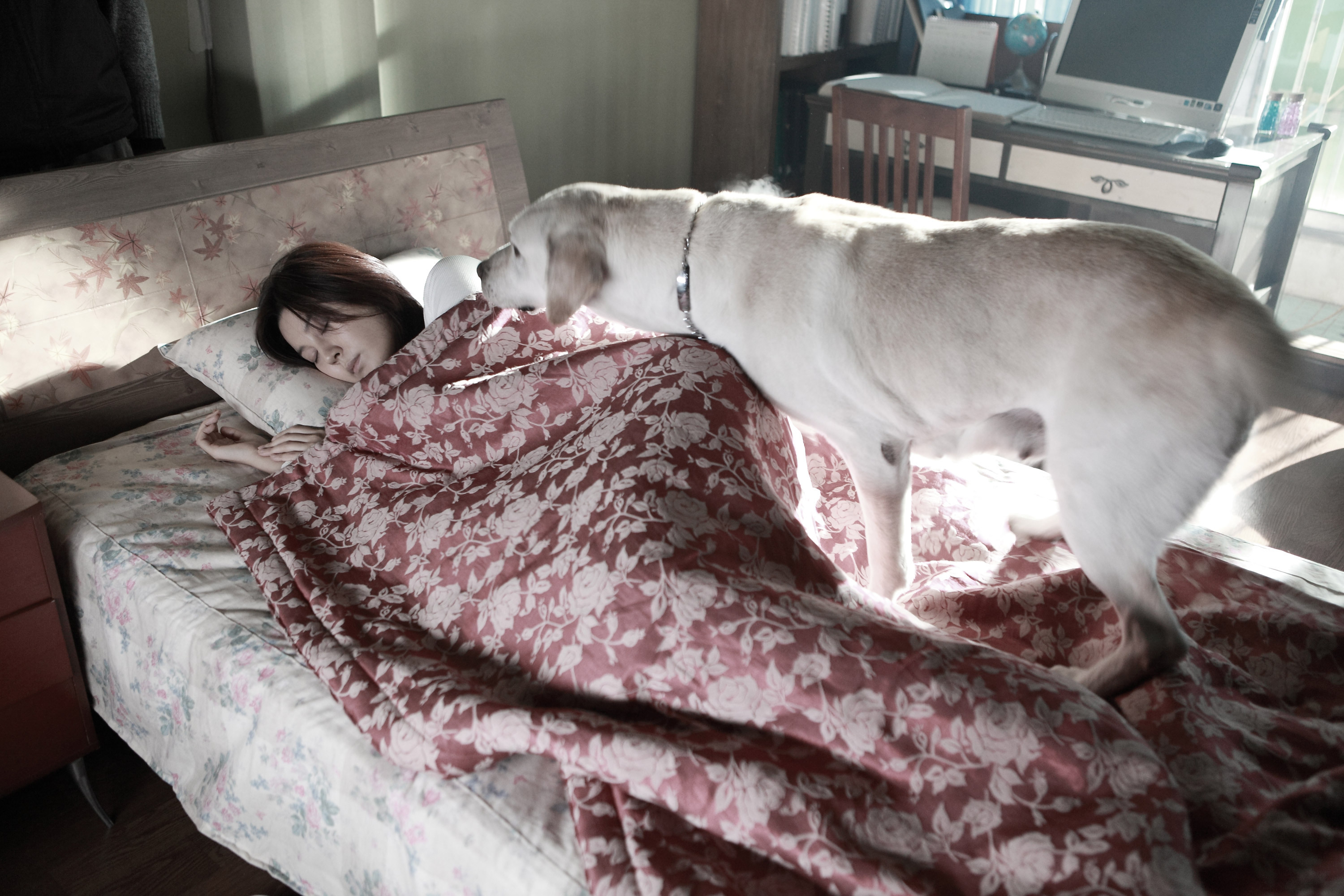 盲证剧照的剧照