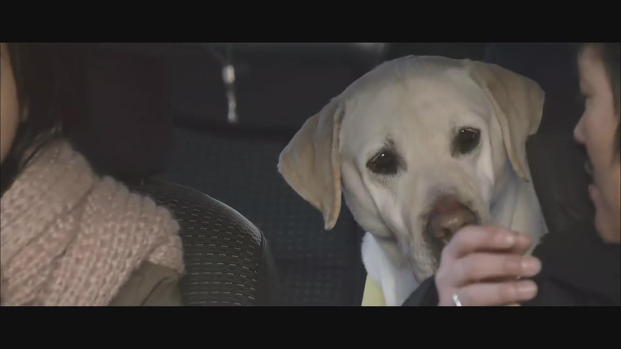 盲证剧照的剧照