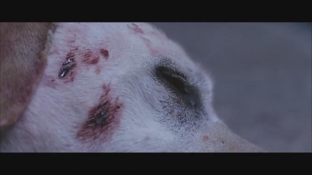 盲证剧照的剧照