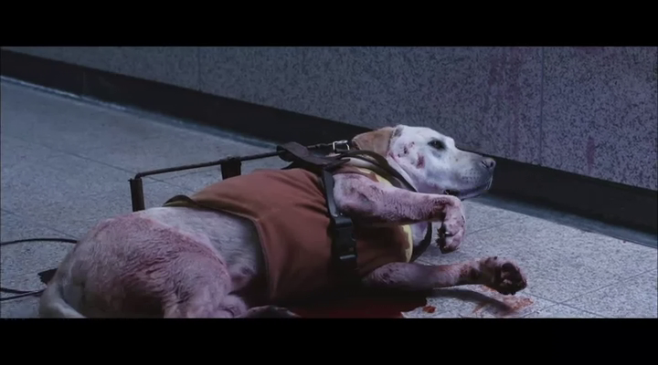 盲证剧照的剧照