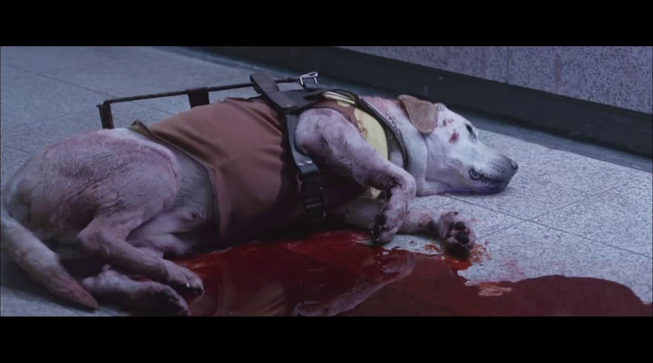 盲证剧照的剧照