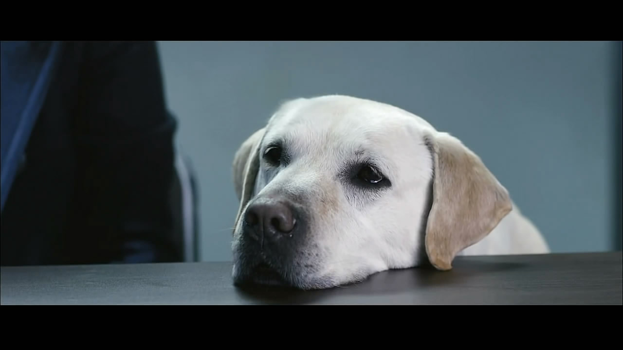 盲证剧照的剧照