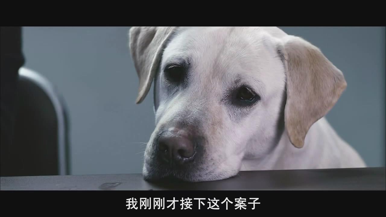 盲证剧照的剧照