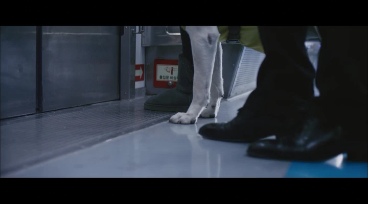 盲证剧照的剧照