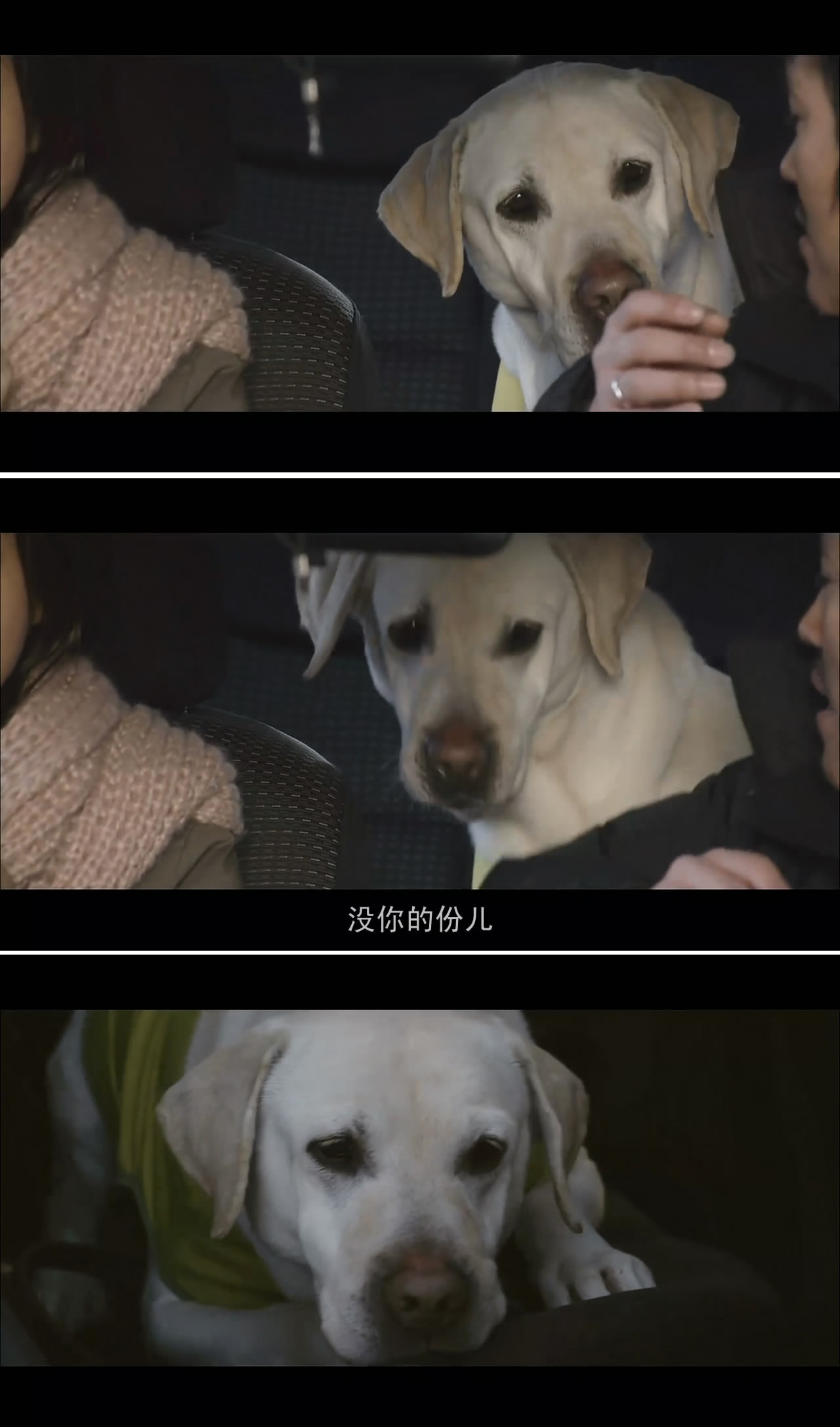 盲证剧照的剧照