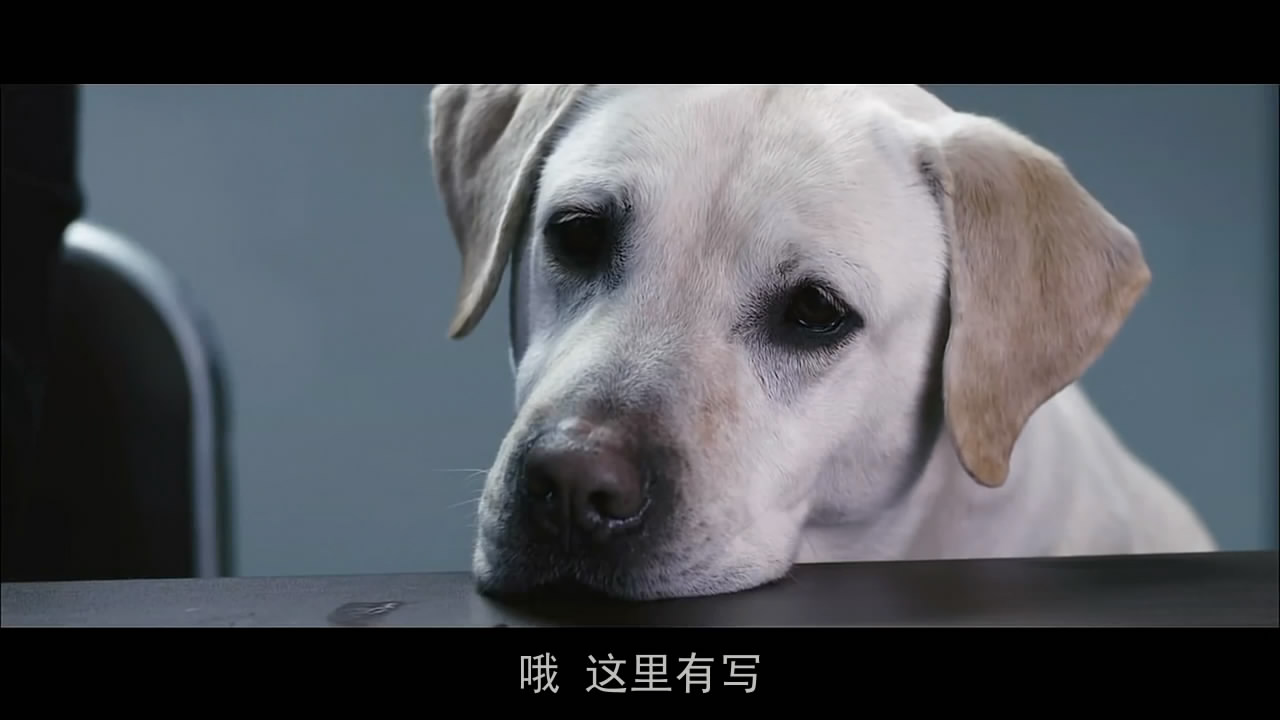 盲证剧照的剧照