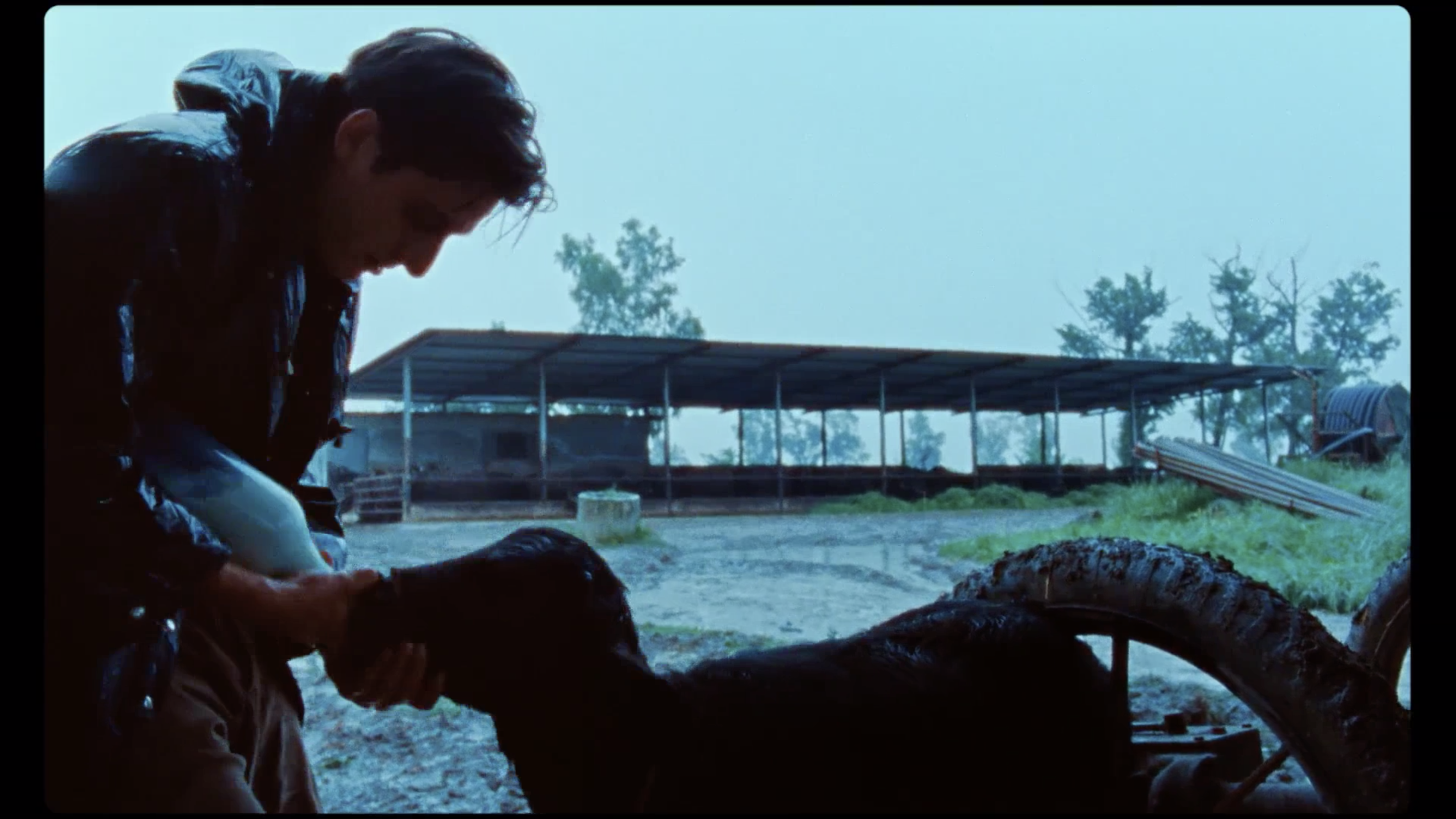 马丁·伊登剧照的剧照