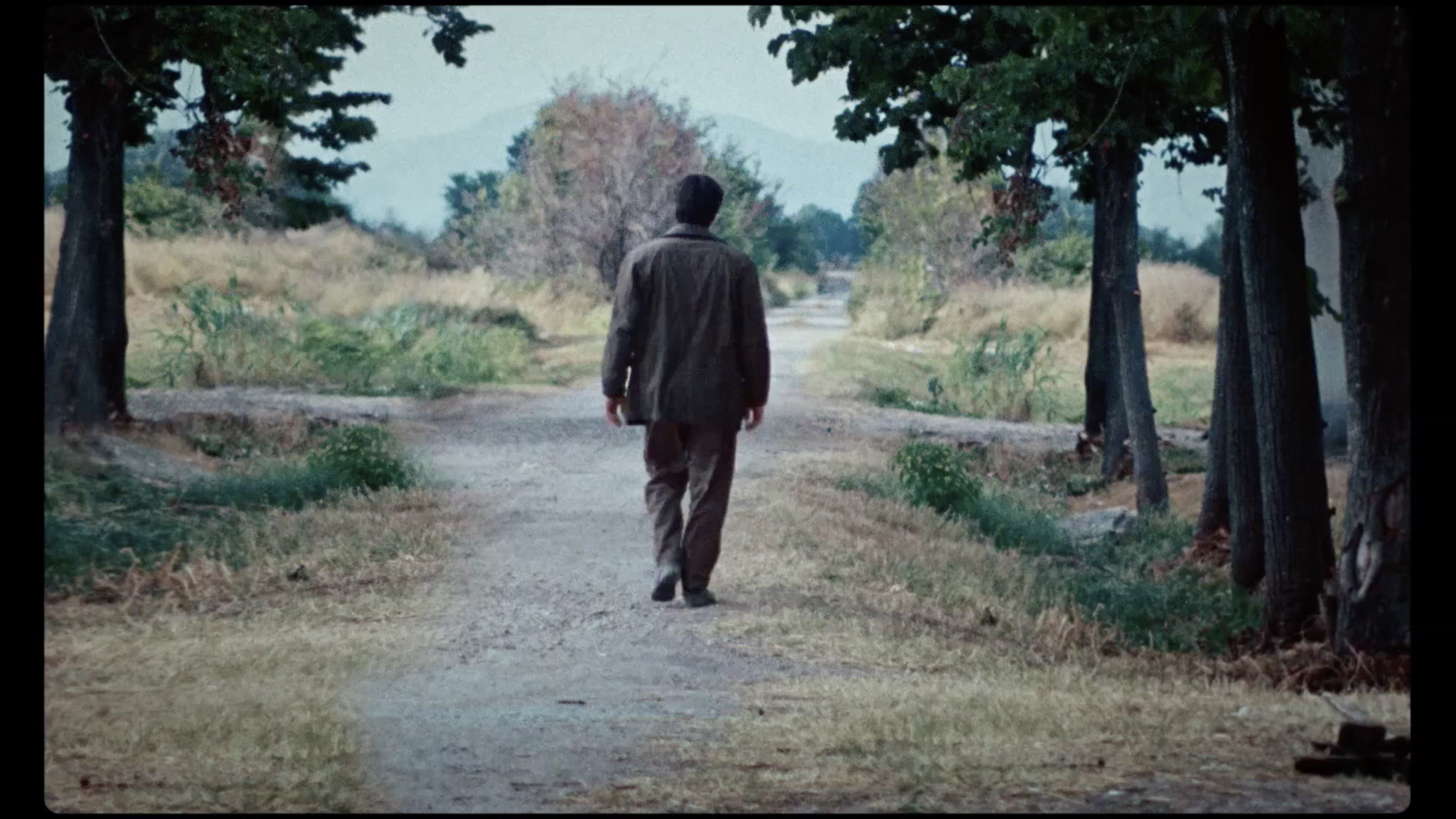 马丁·伊登剧照的剧照