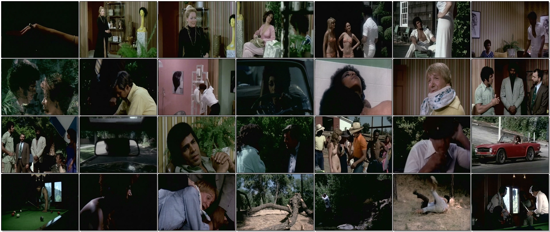 黑香波剧照的剧照