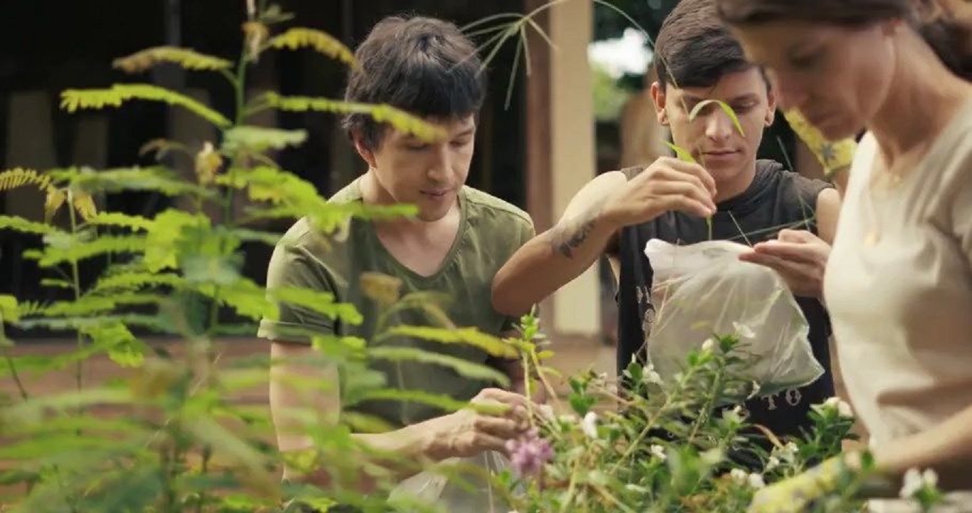 我亲爱的表哥剧照的剧照