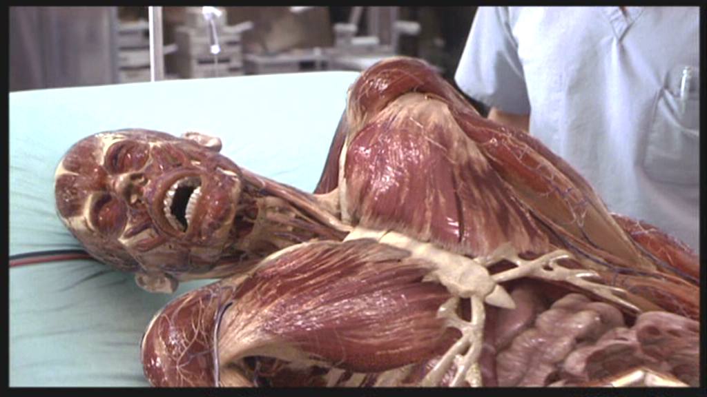 透明人剧照的剧照