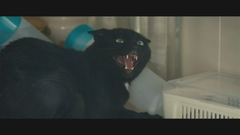 怨鬼之家剧照的剧照