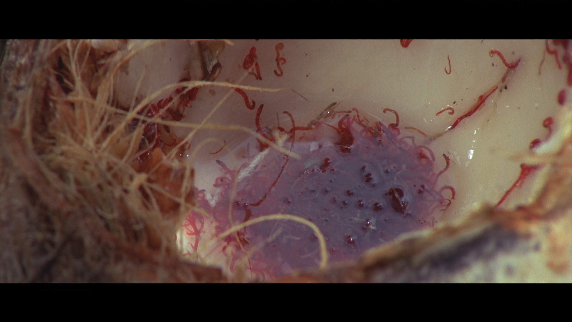 降头剧照的剧照