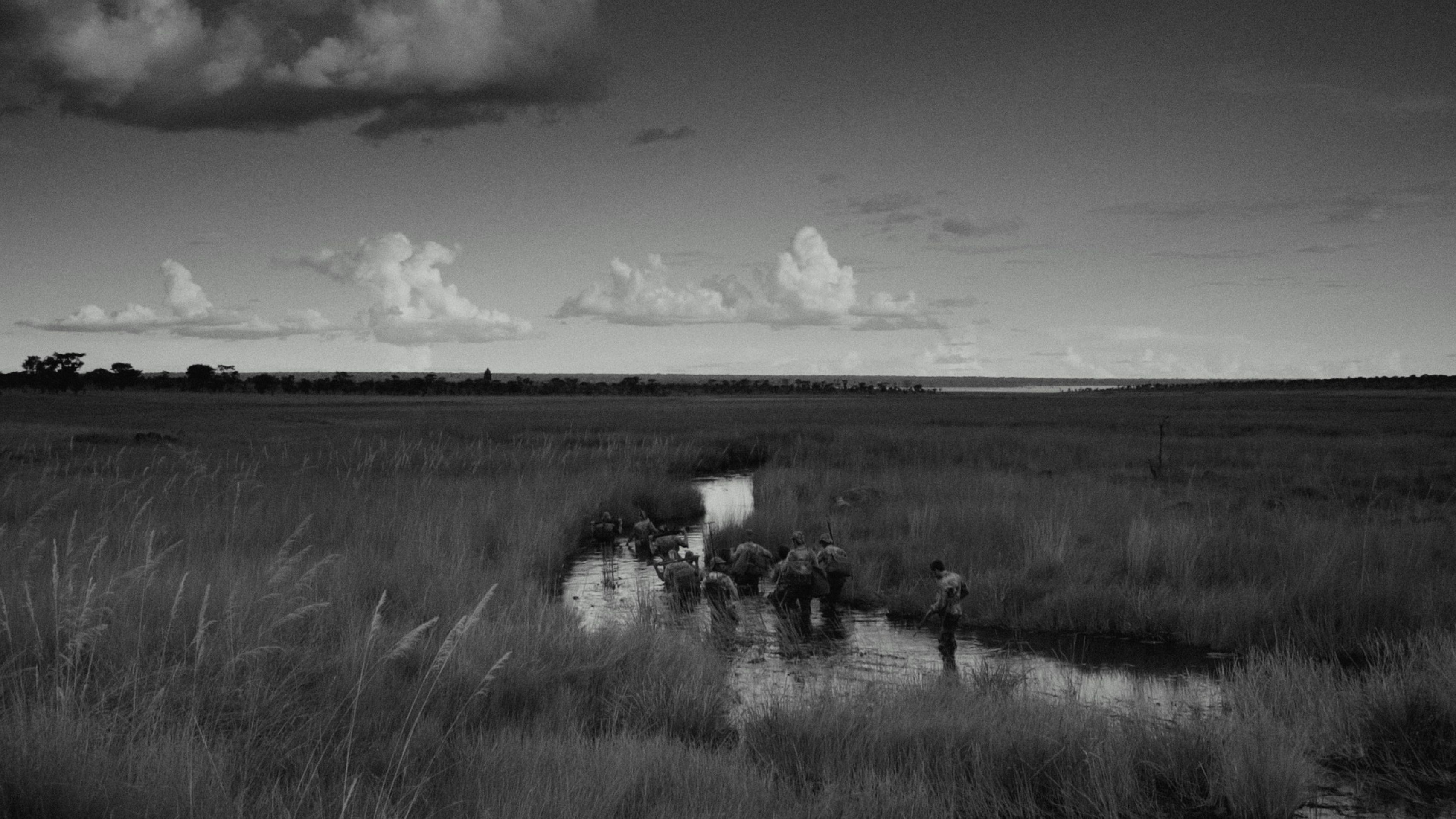 战场来信剧照的剧照