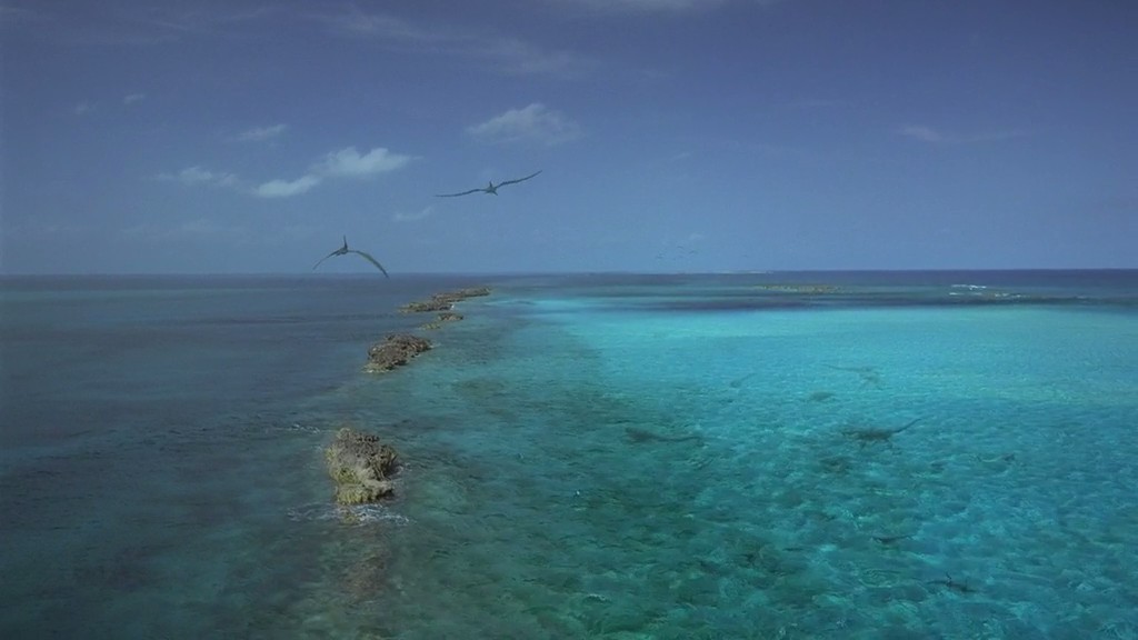 与海怪同行剧照的剧照