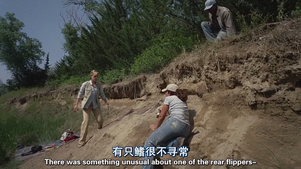 与海怪同行剧照的剧照