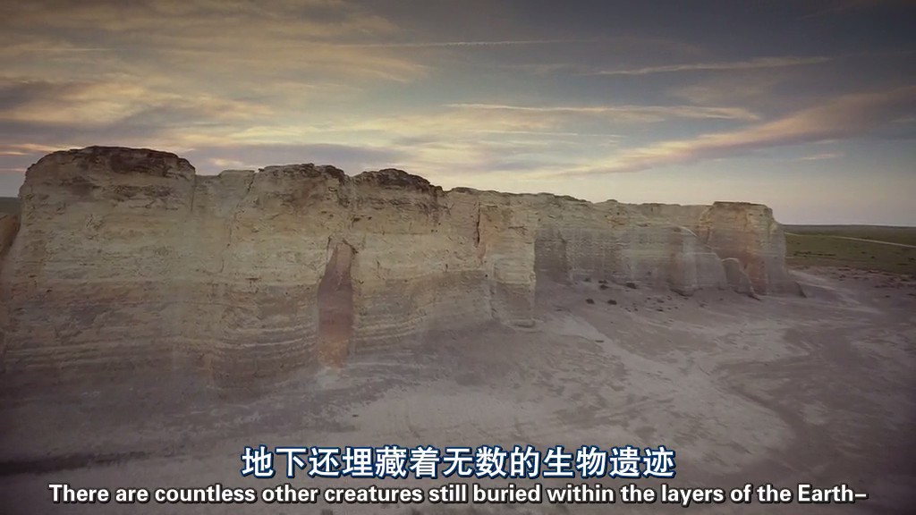 与海怪同行剧照的剧照