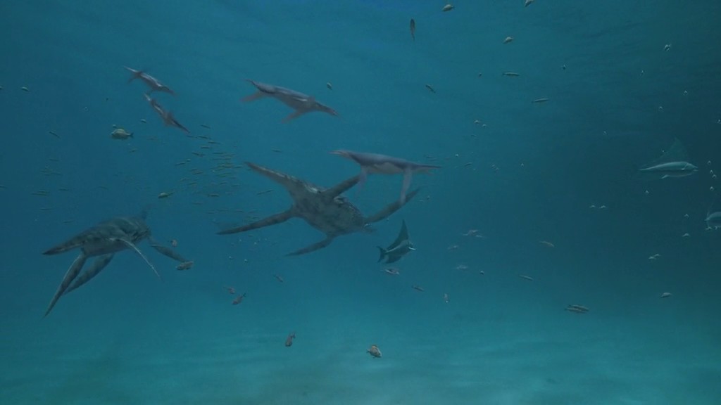 与海怪同行剧照的剧照