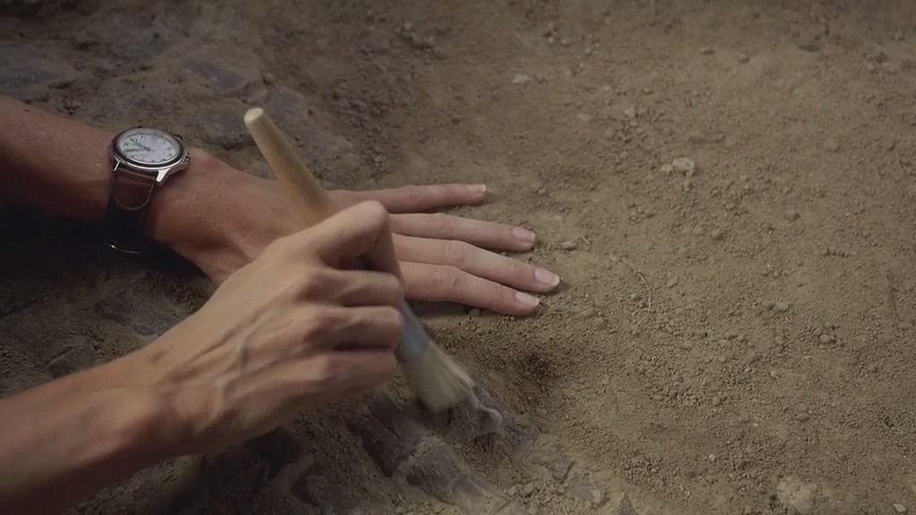 与海怪同行剧照的剧照