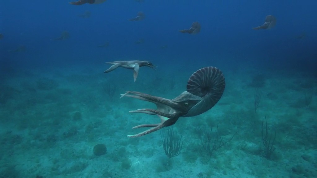 与海怪同行剧照的剧照