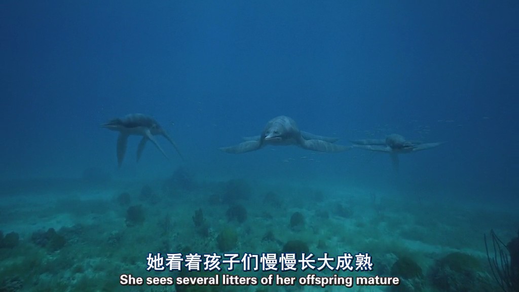 与海怪同行剧照的剧照