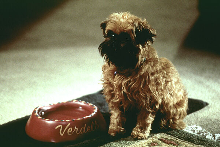 尽善尽美剧照的剧照