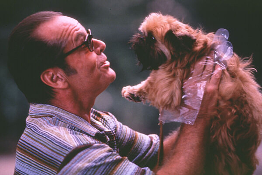 尽善尽美剧照的剧照