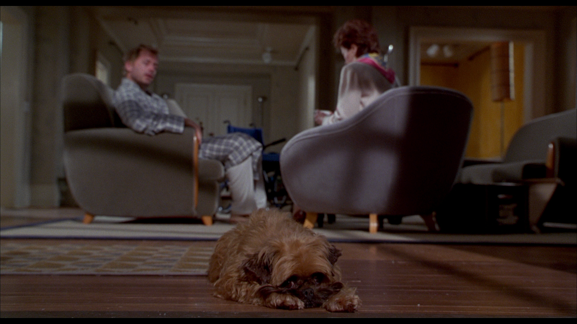 尽善尽美剧照的剧照