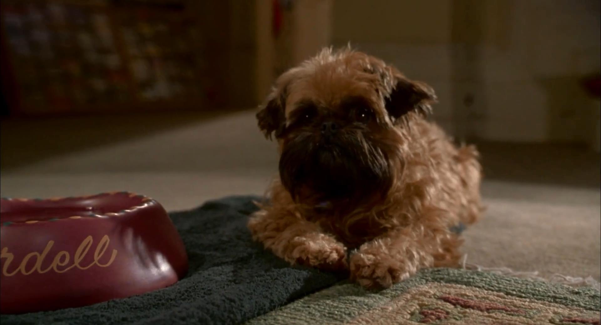 尽善尽美剧照的剧照