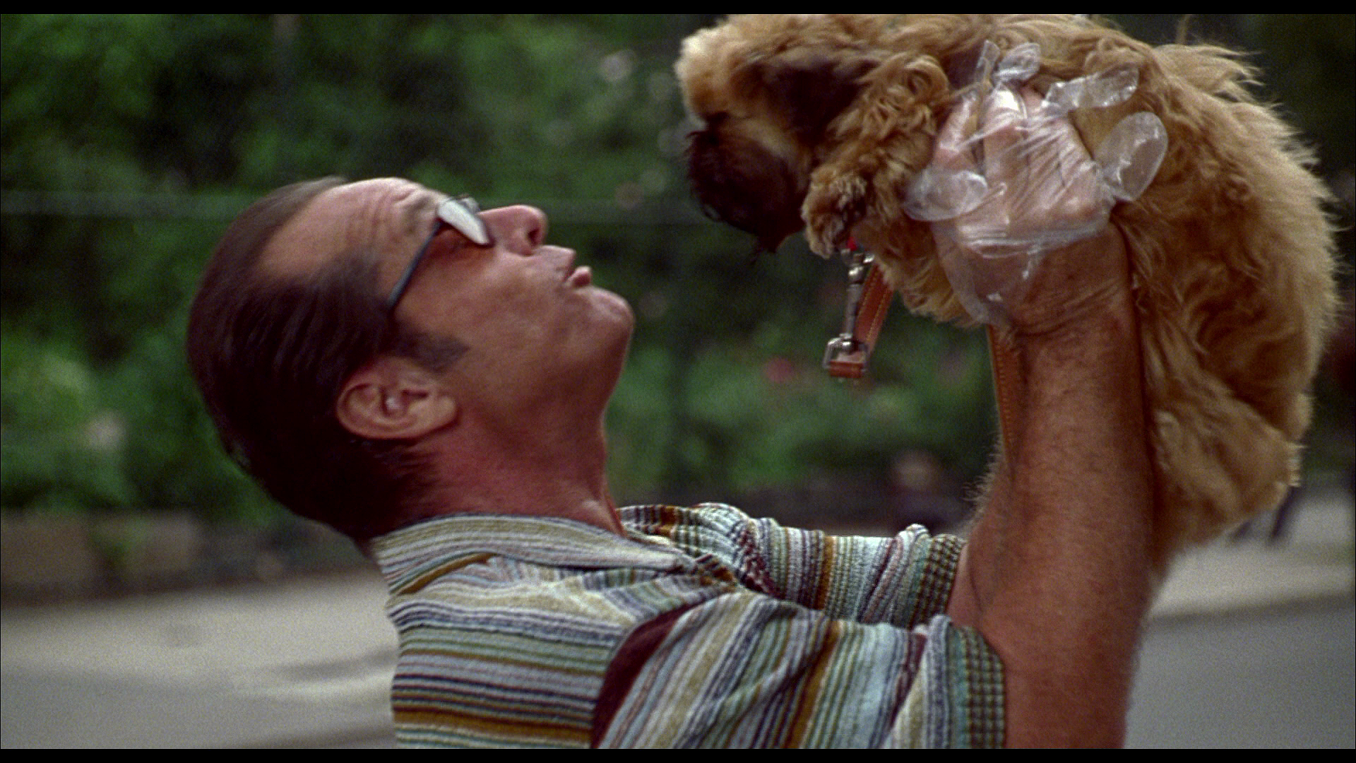 尽善尽美剧照的剧照