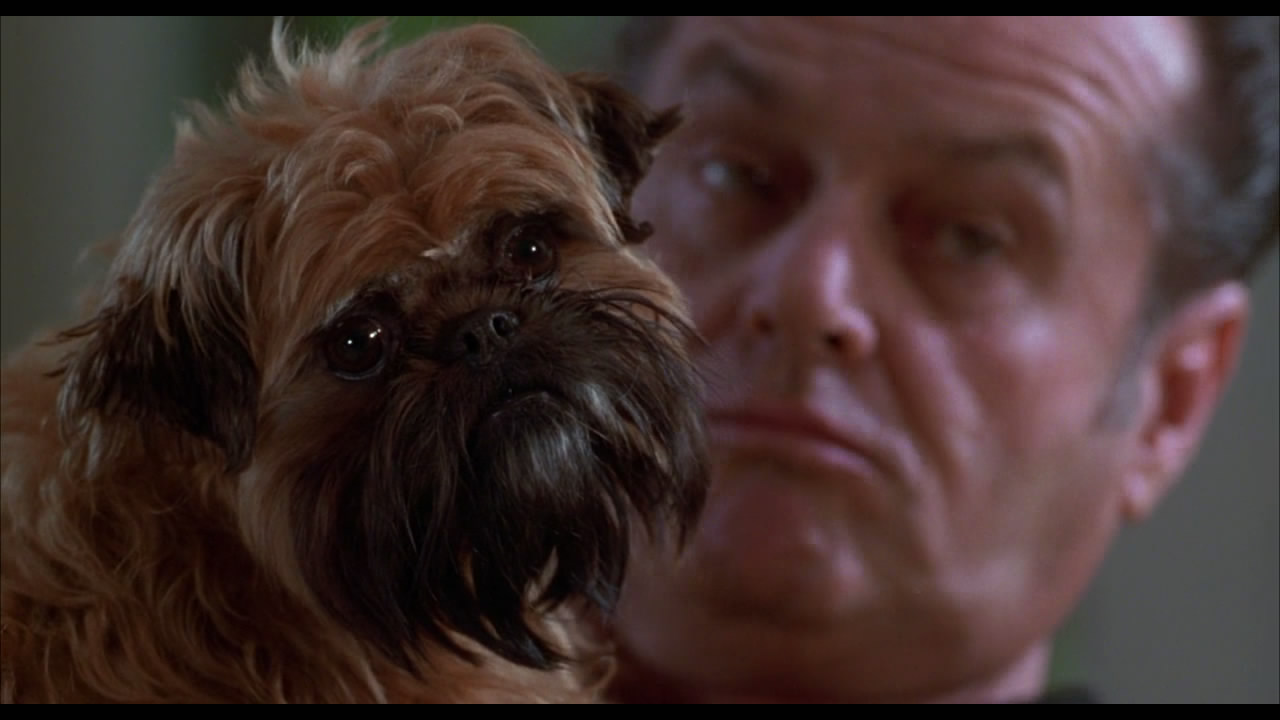 尽善尽美剧照的剧照