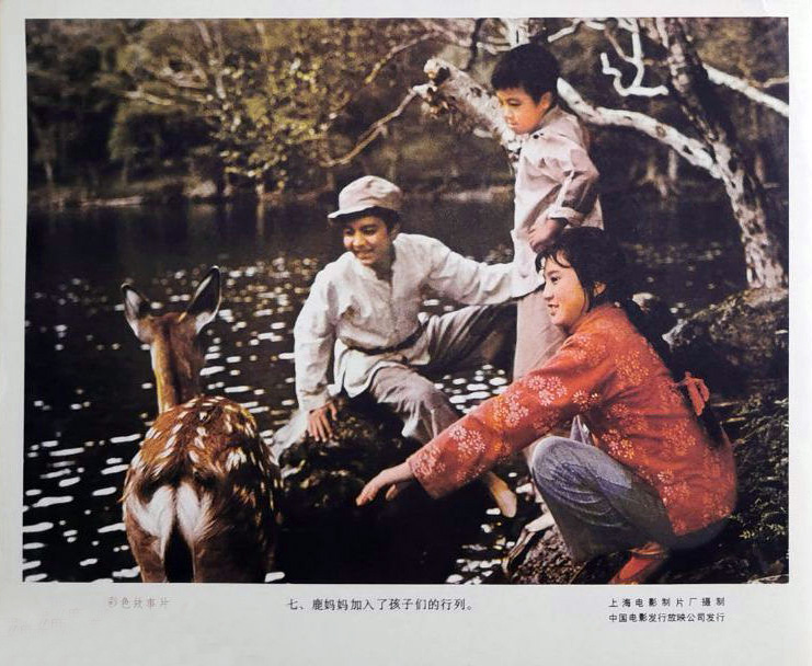 鹿鸣翠谷剧照的剧照