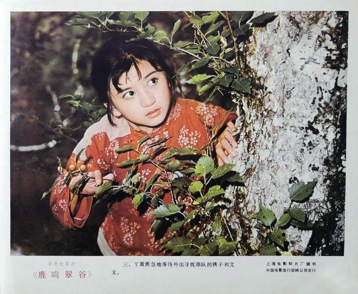 鹿鸣翠谷剧照的剧照