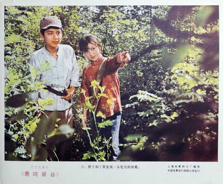 鹿鸣翠谷剧照的剧照