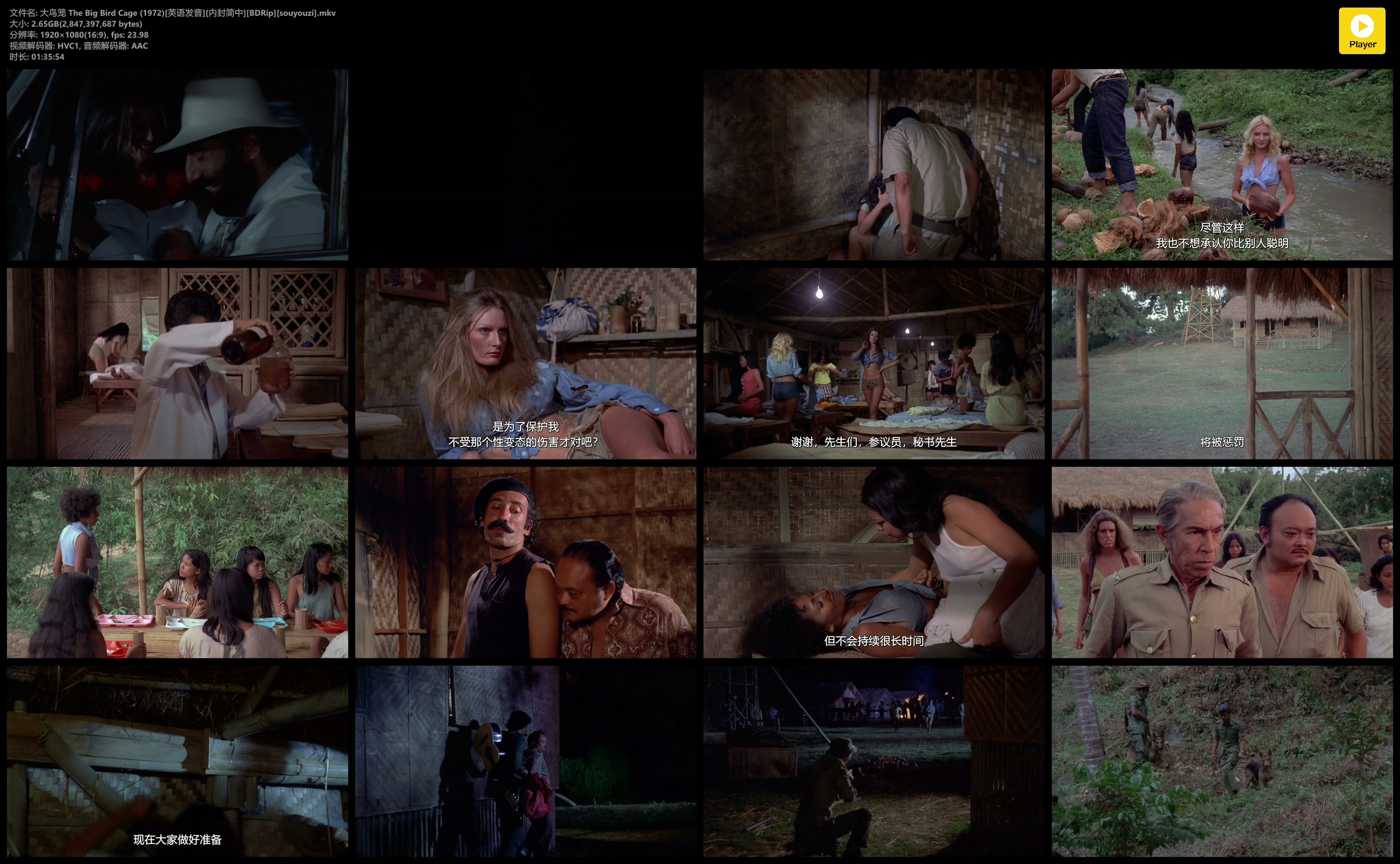 大鸟笼剧照的剧照