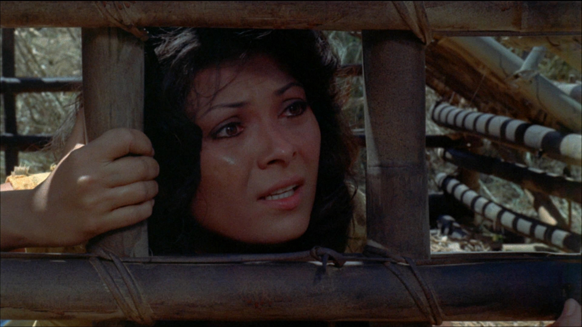 大鸟笼剧照的剧照