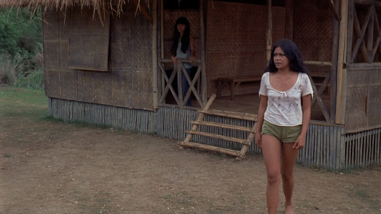 大鸟笼剧照的剧照