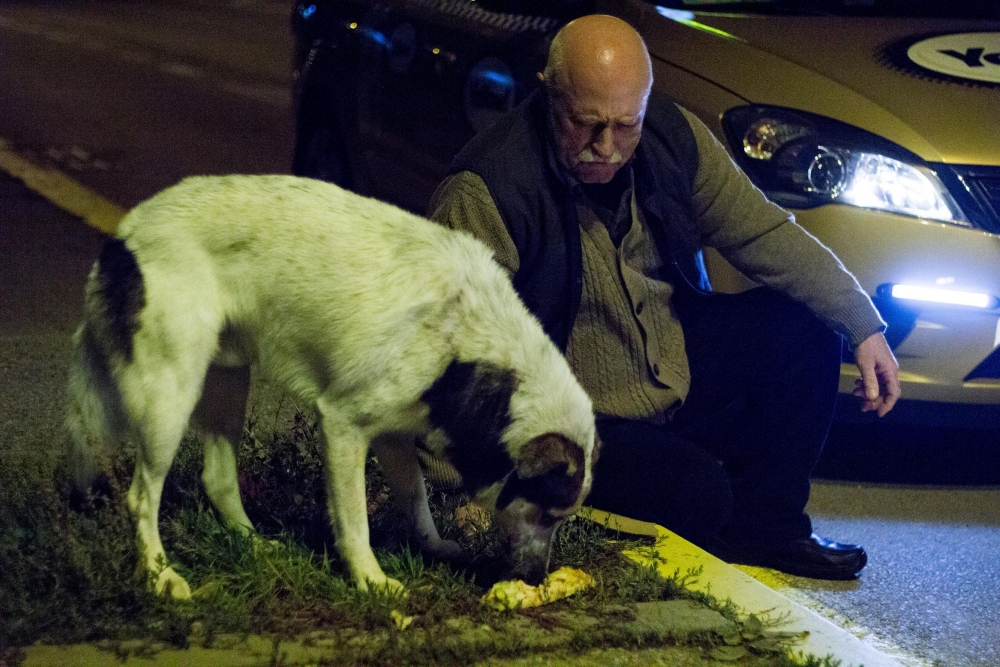 方向剧照的剧照
