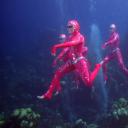 太阳马戏团：人生之旅剧照