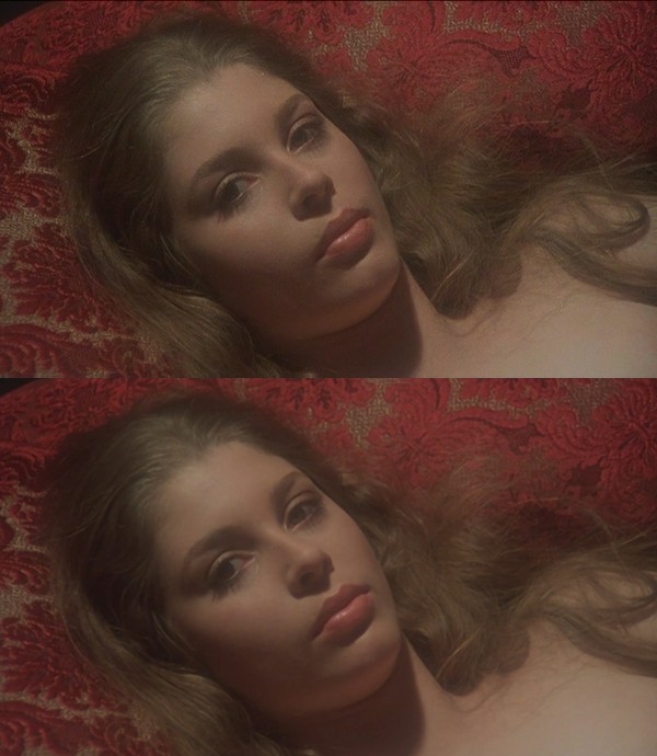 瓦内萨剧照的剧照