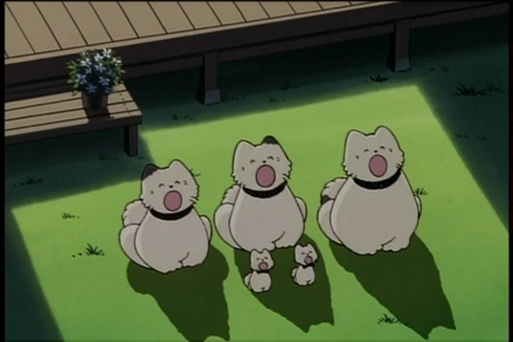 棒球英豪  大学篇：在那之后的你剧照的剧照