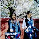 乌龟意外之速游剧照