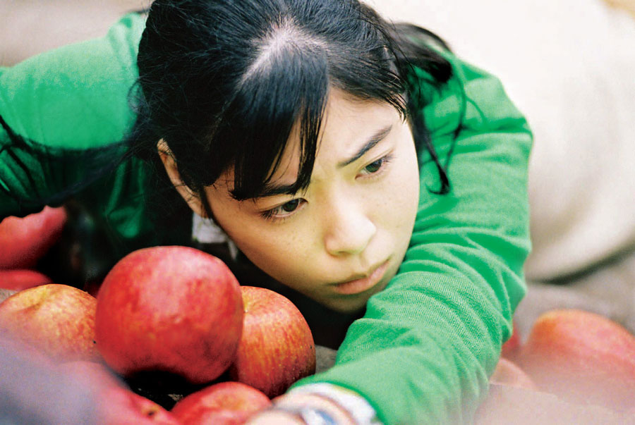 乌龟意外之速游剧照的剧照