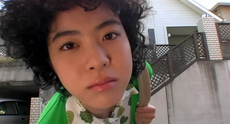 乌龟意外之速游剧照的剧照