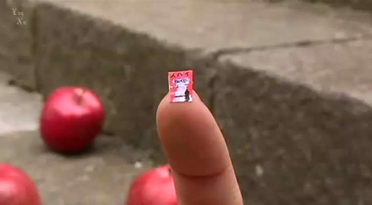 乌龟意外之速游剧照的剧照