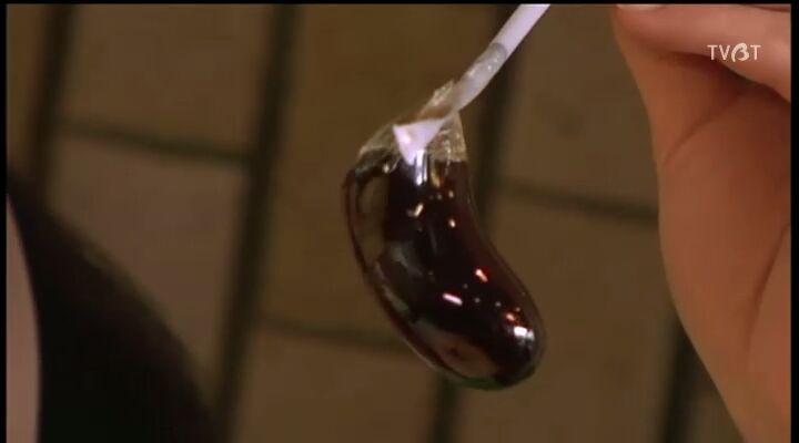 乌龟意外之速游剧照的剧照