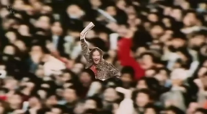 乌龟意外之速游剧照的剧照