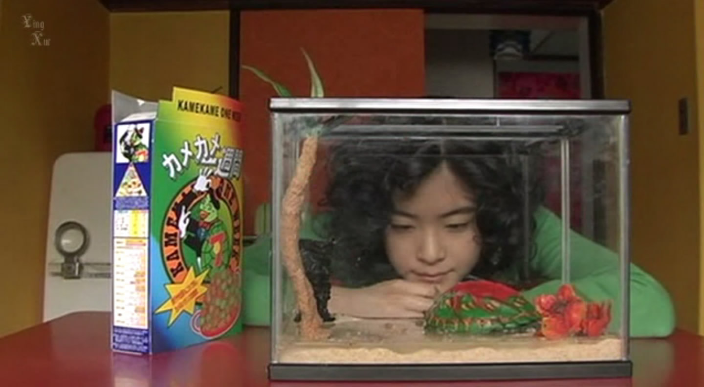 乌龟意外之速游剧照的剧照