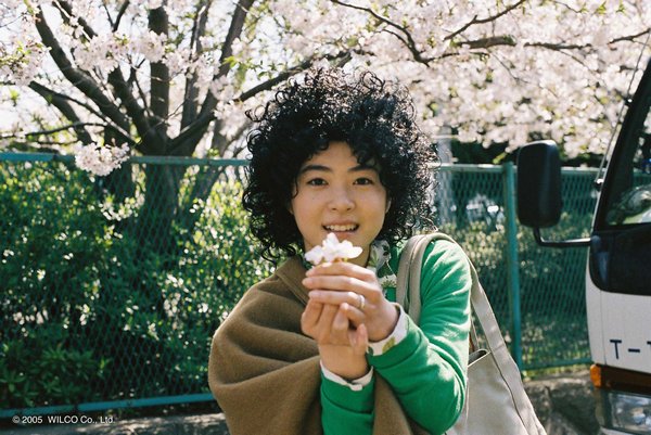 乌龟意外之速游剧照的剧照